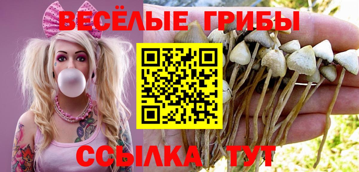 Галлюциногенные грибы ЛСД Ставрополь