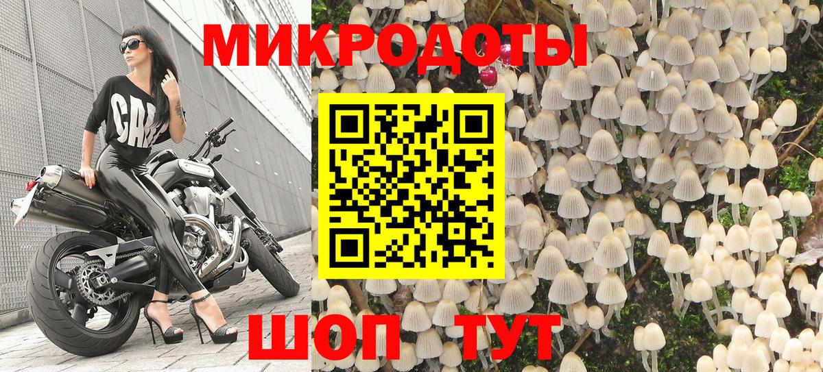 Галлюциногенные грибы MAGIC MUSHROOMS  Вход с VPN  Ставрополь 